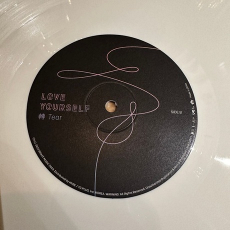BTS - Love Yourself (coloured) (8809848753213) виниловая пластинка - фото 11