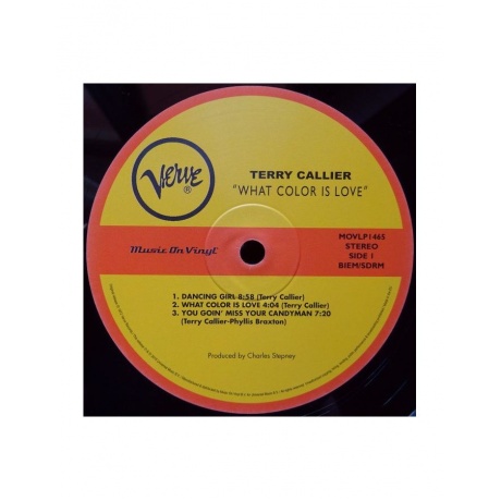 Виниловая пластинка Callier, Terry, What Color Is Love (0600753605189) - фото 3