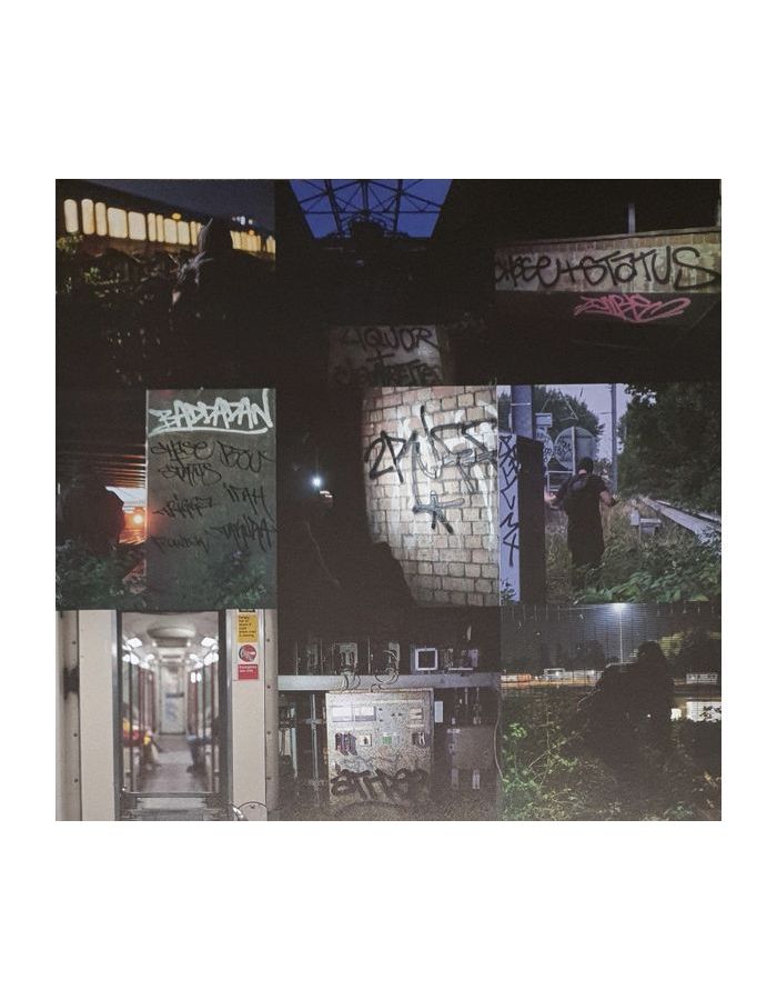 Виниловая пластинка Chase &amp; Status, 2 Ruff (0602458400892) - фото 4