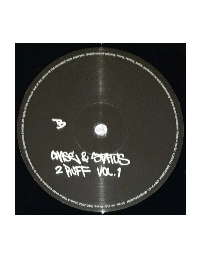 Виниловая пластинка Chase &amp; Status, 2 Ruff (0602458400892) - фото 6