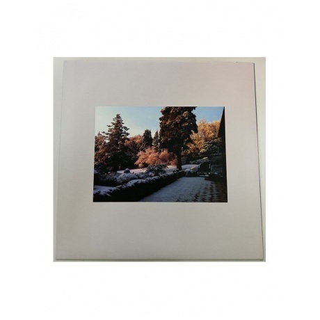 Clapton, Eric , Old Sock (coloured) (0197188248802) виниловая пластинка - фото 11