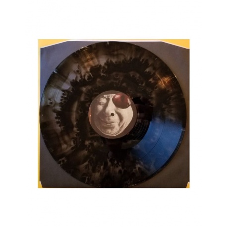Виниловая пластинка Claypool Lennon Delirium, The , Monolith Of Phobos (coloured) (0880882463410) - фото 10