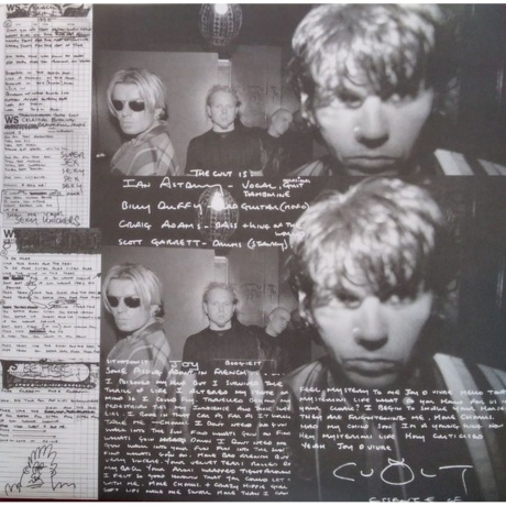 Cult, The, The Cult (0607618229917) виниловая пластинка - фото 9