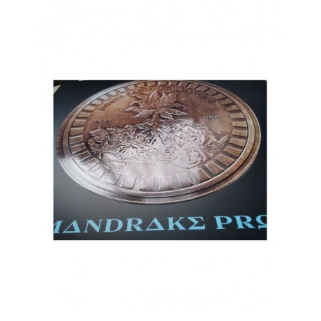 Виниловая пластинка Dickinson, Bruce, The Mandrake Project (4050538951332) - фото 15