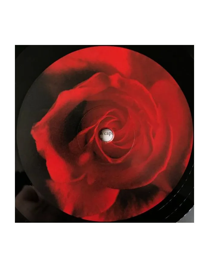 Виниловая пластинка Divine Comedy, The, Casanova (5024545890518) - фото 7