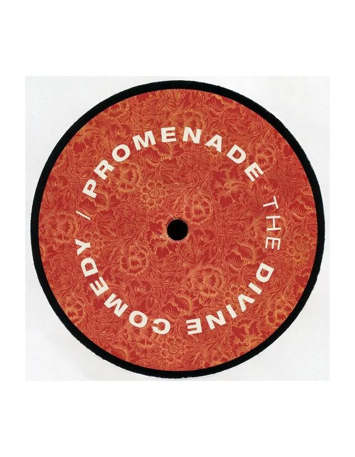 Виниловая пластинка Divine Comedy, The, Promenade (5024545890211) - фото 3
