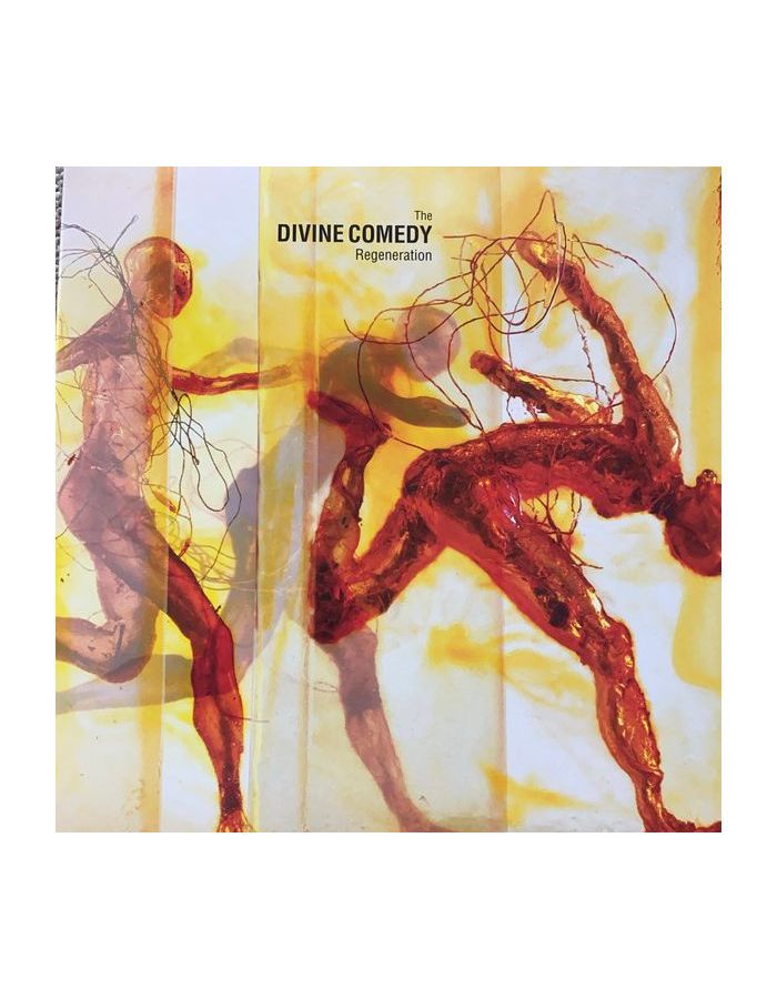 Виниловая пластинка Divine Comedy, The, Regeneration (5024545891416) цена и фото
