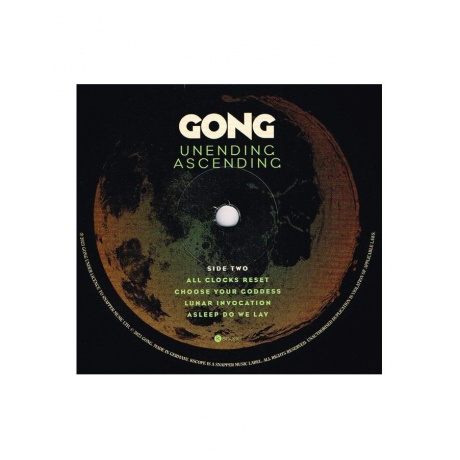 Виниловая пластинка Gong, Unending Ascending (0802644829272) - фото 4