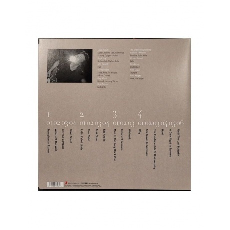 Steve Hackett - Wild Orchids (0196588370618) виниловая пластинка - фото 2