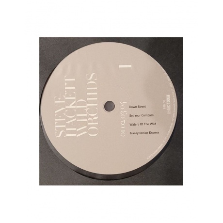 Steve Hackett - Wild Orchids (0196588370618) виниловая пластинка - фото 4