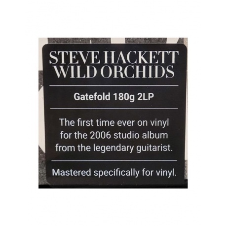 Steve Hackett - Wild Orchids (0196588370618) виниловая пластинка - фото 5