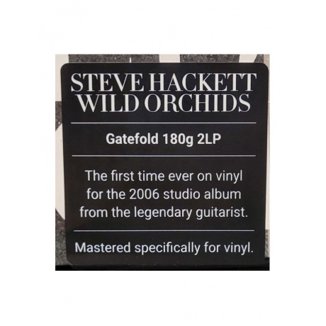 Виниловая пластинка Hackett, Steve, Wild Orchids (0196588370618) - фото 5