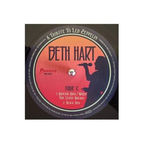 Виниловая пластинка Hart, Beth, A Tribute To Led Zeppelin (0810020506037) - фото 8