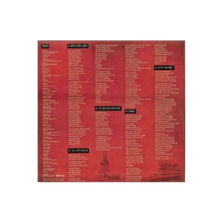 Beth Hart - Better Than Home (coloured) (0810020506952) виниловая пластинка - фото 4