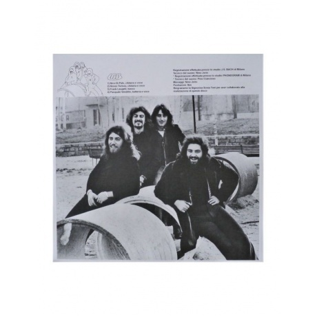 Ibis - Ibis (coloured) (8016158016949) виниловая пластинка - фото 5