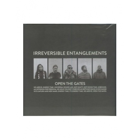 Виниловая пластинка Irreversible Entanglements, Open The Gates (coloured) (0789993991532) - фото 5