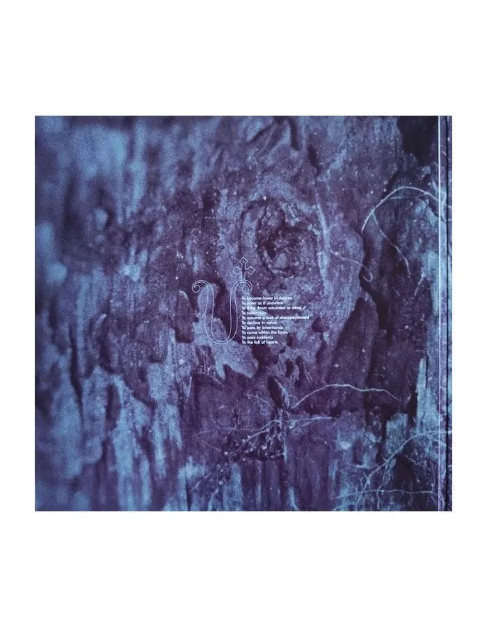 Виниловая пластинка Katatonia, The Fall Of Hearts (0801056854810) - фото 3