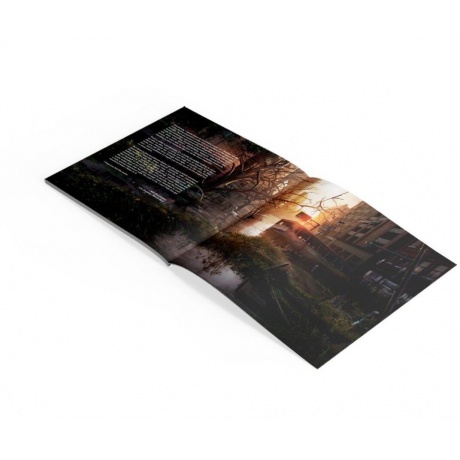 Виниловая пластинка OST, The Last Of Us (Gustavo Santaolalla) (8719262025721) - фото 4