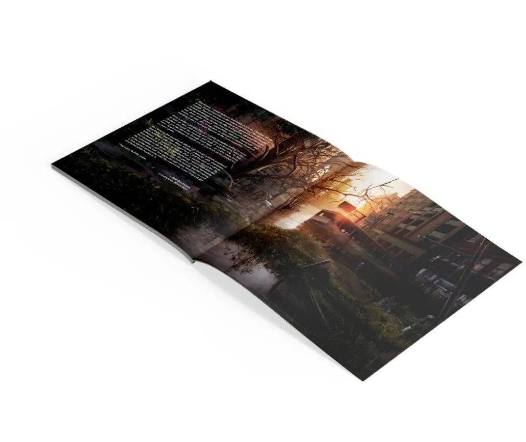 Виниловая пластинка OST, The Last Of Us (Gustavo Santaolalla) (8719262025721) - фото 4