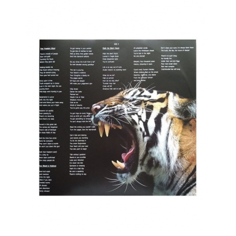 Виниловая пластинка Magnum, The Monster Roars (coloured) (0886922441011) - фото 10