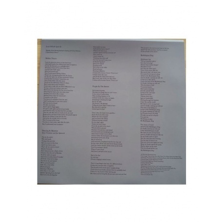 MGMT - Loss Of Life (coloured) (0810090094038) виниловая пластинка - фото 7