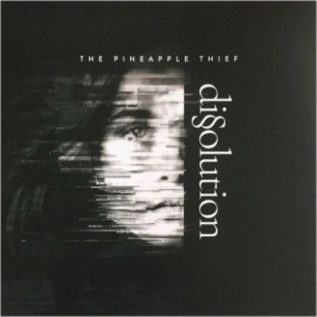 The Pineapple Thief - Dissolution (0802644898810) виниловая плас...