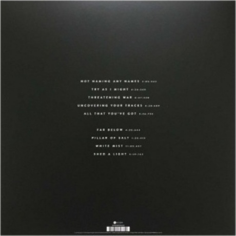 The Pineapple Thief - Dissolution (0802644898810) виниловая пластинка - фото 2