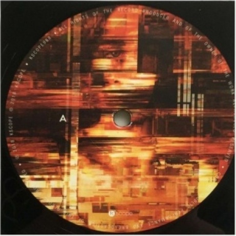 The Pineapple Thief - Dissolution (0802644898810) виниловая пластинка - фото 3