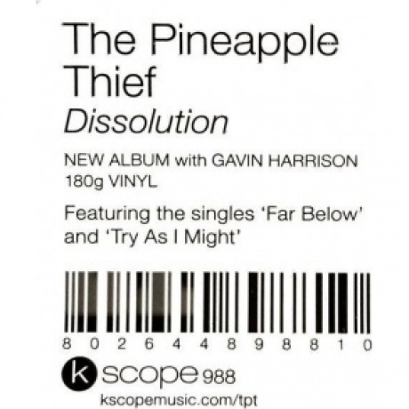 The Pineapple Thief - Dissolution (0802644898810) виниловая пластинка - фото 6