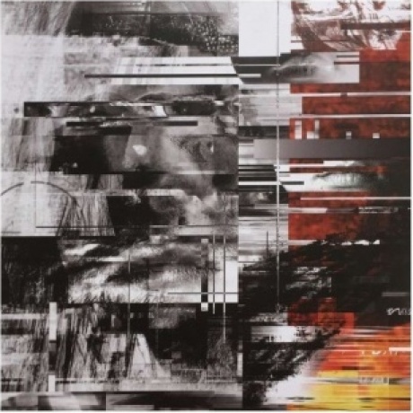 The Pineapple Thief - Dissolution (0802644898810) виниловая пластинка - фото 8