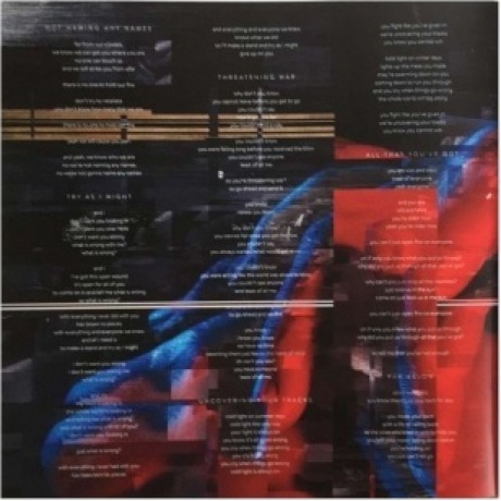 The Pineapple Thief - Dissolution (0802644898810) виниловая пластинка - фото 9