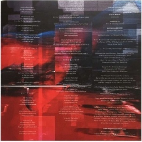 The Pineapple Thief - Dissolution (0802644898810) виниловая пластинка - фото 10