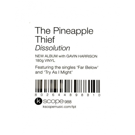 Виниловая пластинка Pineapple Thief, The, Dissolution (0802644898810) - фото 6
