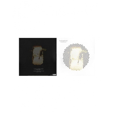 The Pineapple Thief - One Three Seven (0802644887319) виниловая пластинка - фото 3