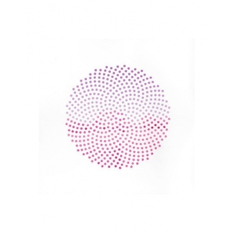 The Pineapple Thief - One Three Seven (0802644887319) виниловая пластинка - фото 4