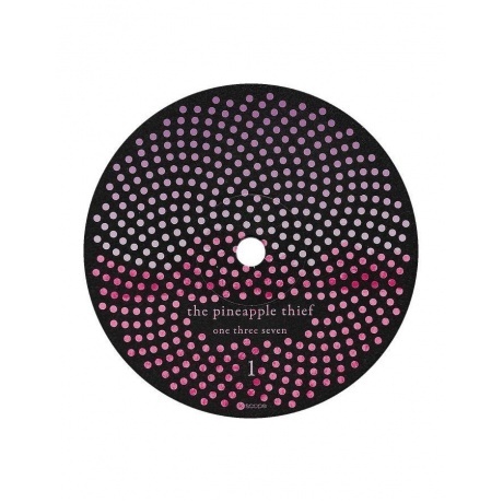 The Pineapple Thief - One Three Seven (0802644887319) виниловая пластинка - фото 7