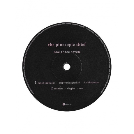 The Pineapple Thief - One Three Seven (0802644887319) виниловая пластинка - фото 8
