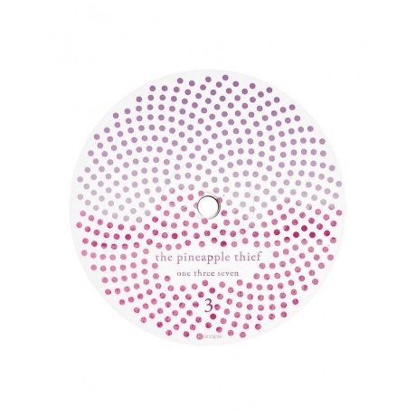The Pineapple Thief - One Three Seven (0802644887319) виниловая пластинка - фото 9