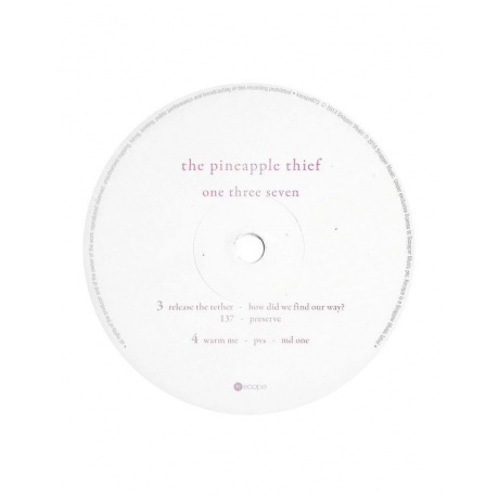 The Pineapple Thief - One Three Seven (0802644887319) виниловая пластинка - фото 10
