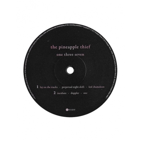 Виниловая пластинка Pineapple Thief, The, One Three Seven (0802644887319) - фото 8