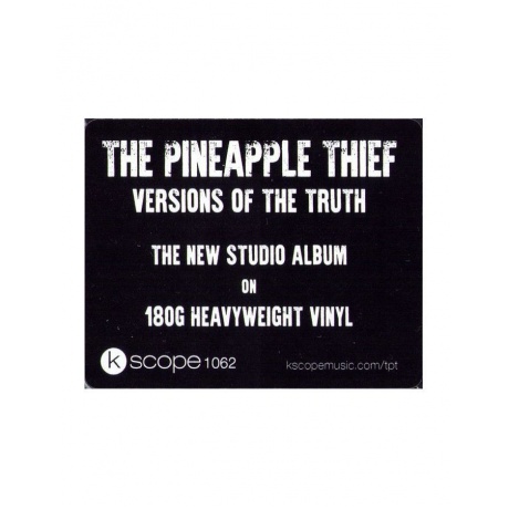 Виниловая пластинка Pineapple Thief, The, Versions Of The Truth (0802644806297) - фото 8