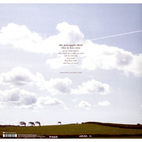 The Pineapple Thief - What We Have Sown (0802644800813) виниловая пластинка - фото 2