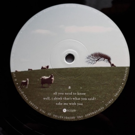 The Pineapple Thief - What We Have Sown (0802644800813) виниловая пластинка - фото 3