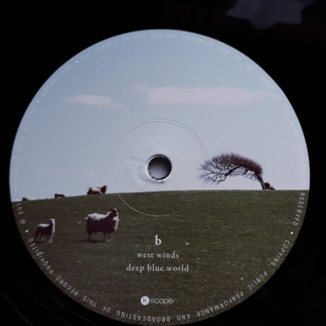 The Pineapple Thief - What We Have Sown (0802644800813) виниловая пластинка - фото 4