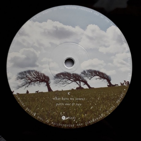 The Pineapple Thief - What We Have Sown (0802644800813) виниловая пластинка - фото 5