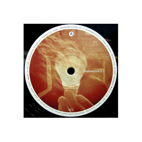 Виниловая пластинка Porcupine Tree, Lightbulb Sun (0802644822211) - фото 3