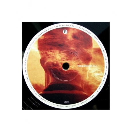 Виниловая пластинка Porcupine Tree, Lightbulb Sun (0802644822211) - фото 4