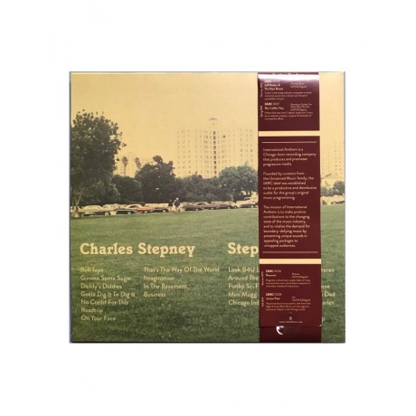 Виниловая пластинка Stepney, Charles, Step On Step (0789993992553) - фото 2
