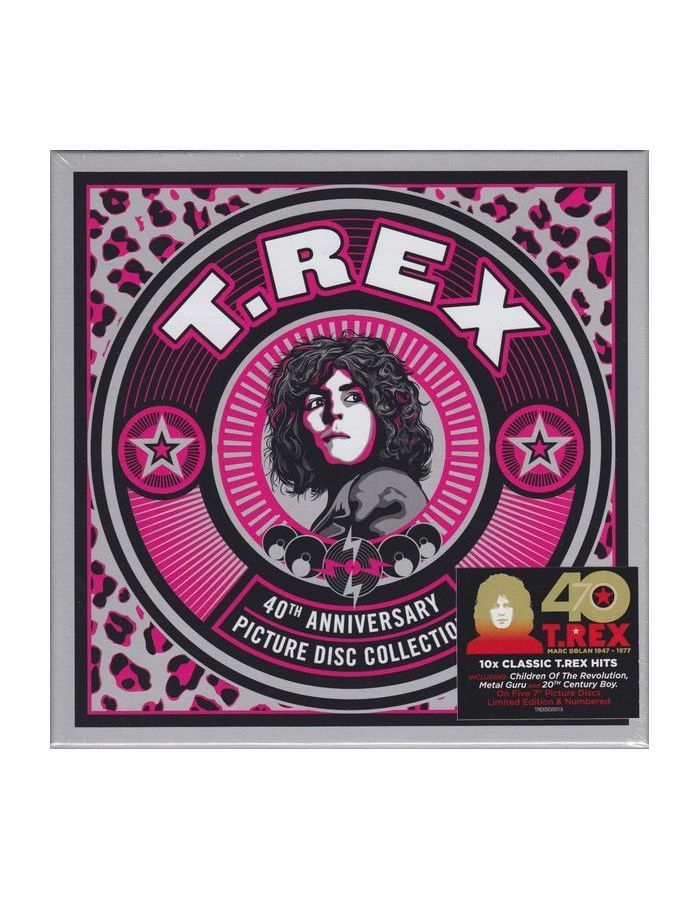 цена Виниловая пластинка T. Rex, Picture Disc Collection (V7) (Box) (picture) (5014797896451)