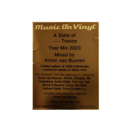 Виниловая пластинка Van Buuren, Armin, A State Of Trance Year Mix (8719262034389) - фото 12
